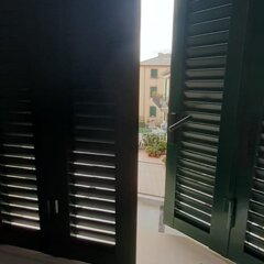 whatsapp image 2025-01-31 at 11